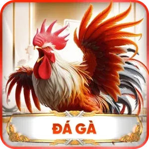 da ga ao88